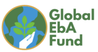 A globe with a hand holding a green plant inside next to Global EbA Fund