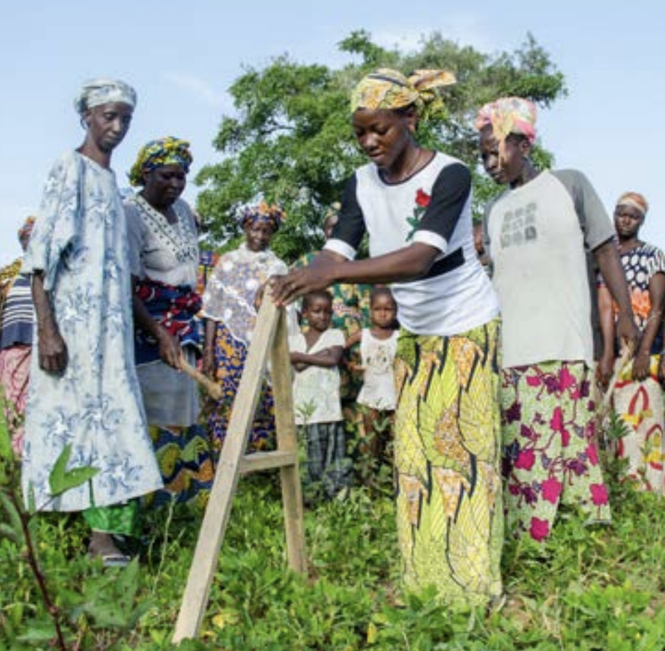 A group of women in Mali participating in dryland restoration.