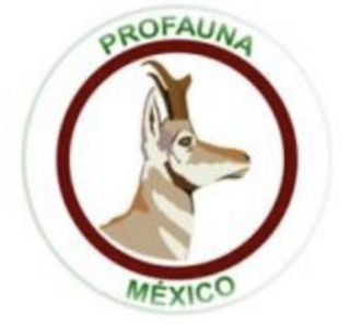 Profauna Mexico in green with a deer