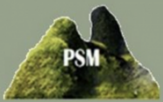 Green mountain with white letters of PSM