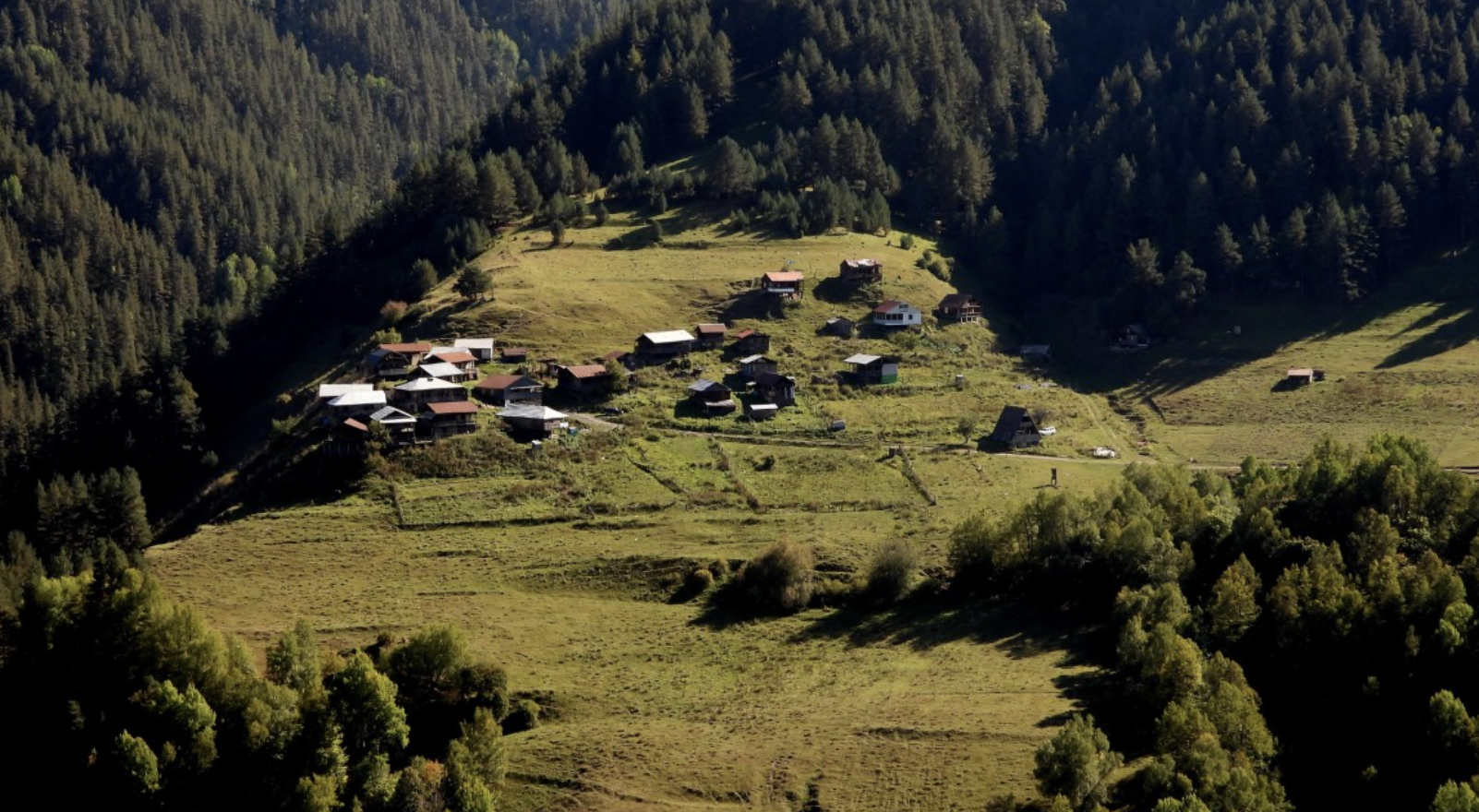 Settlements on a grassy mountain side with forests in the background