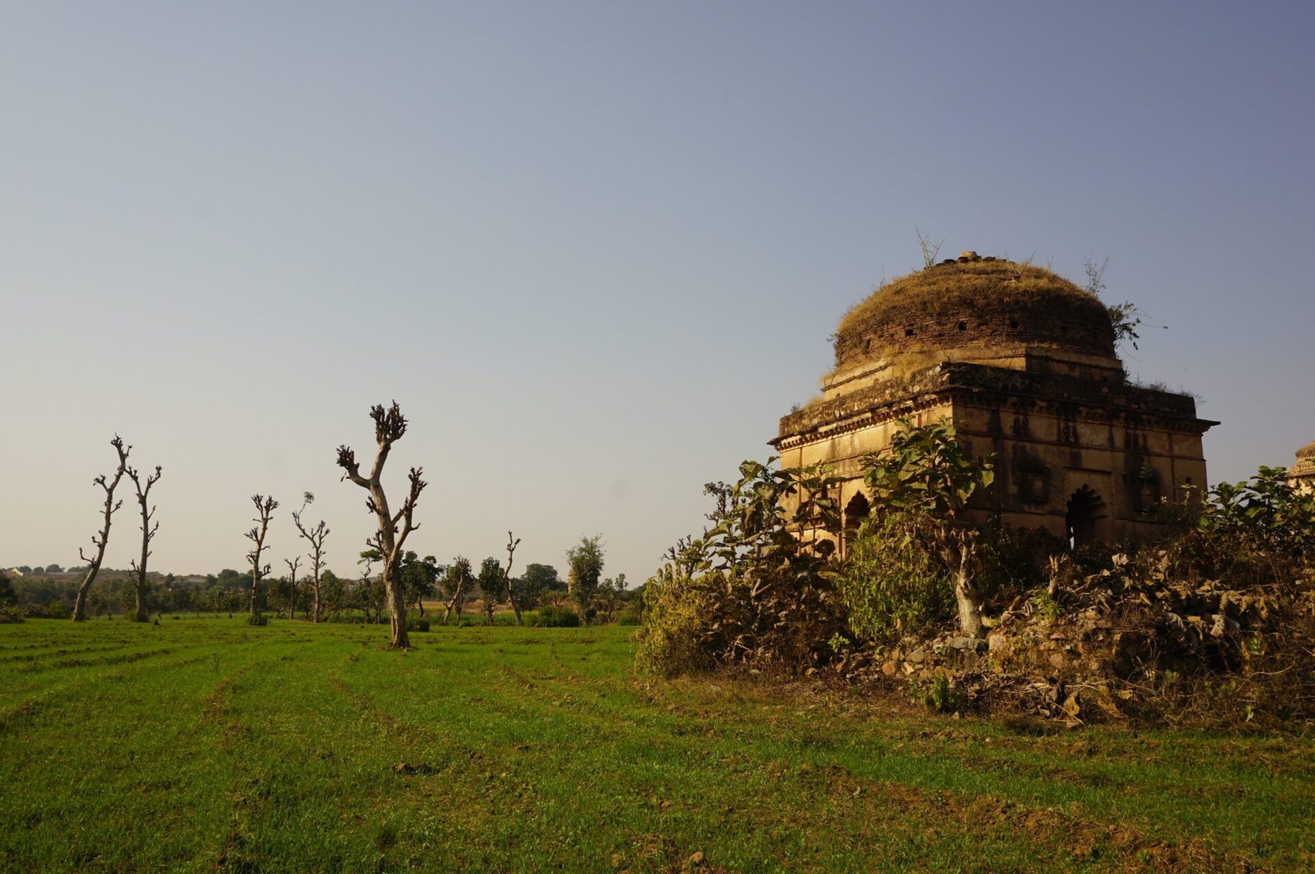 a temple in a field
