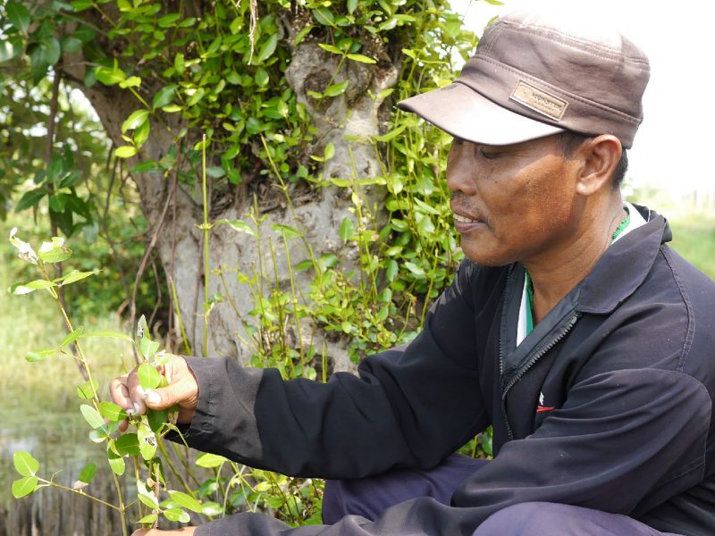 Kodro, a fish farmer in Segoro Tambak Village, East Java, Indonesia, is finding ways to protect his livelihood.