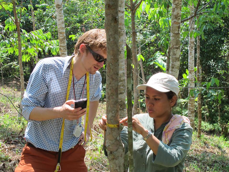 Smartphone based monitoring in agroforestry plot in Peruvian Amazon. Measuring DBH and recording information directly in the Open Data Kit Application.