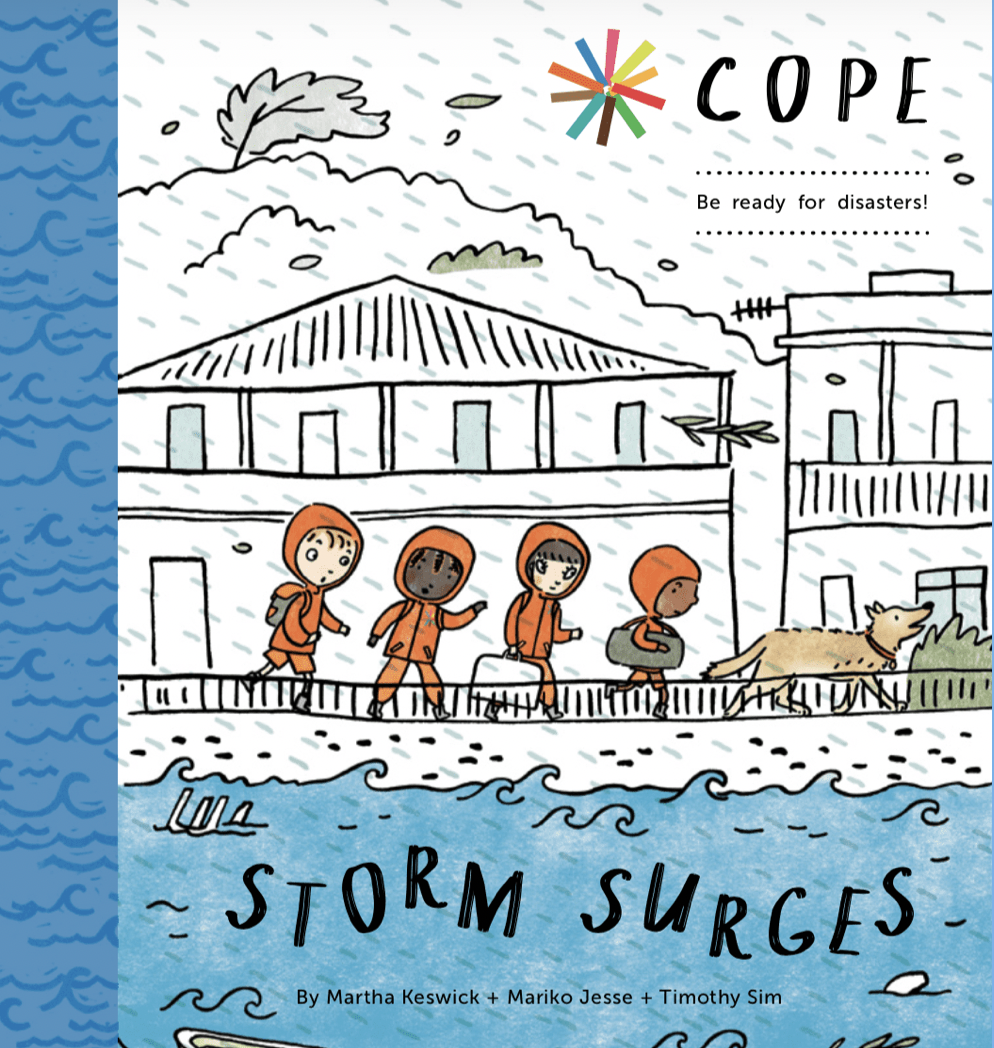 Cover of the Storm Surges book