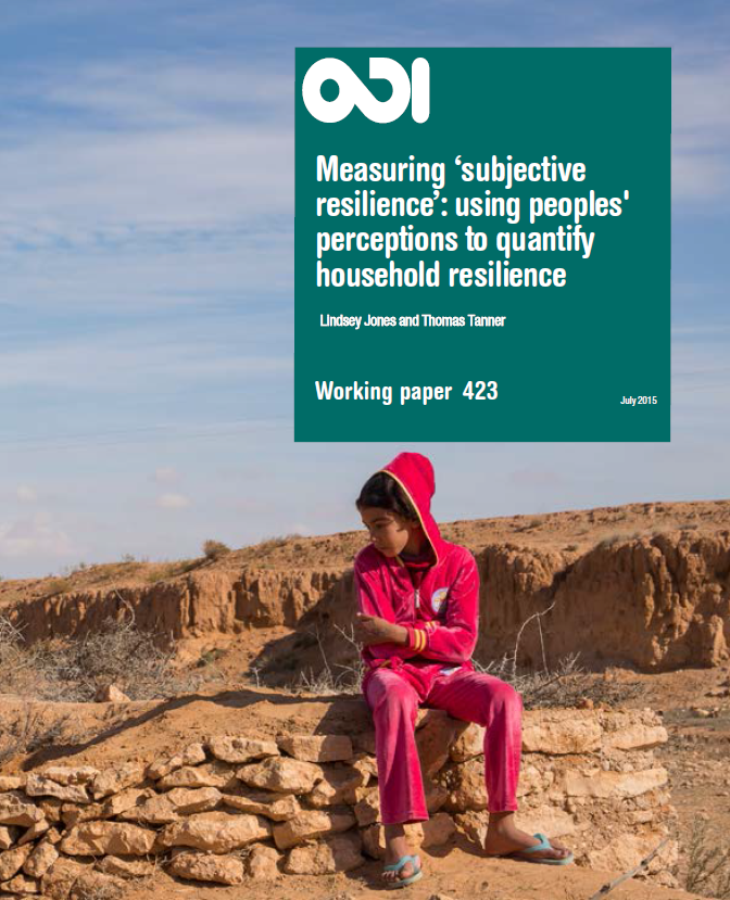 Image of Measuring 'subjective resilience': using peoples' perceptions to quantify household resilience working paper front cover