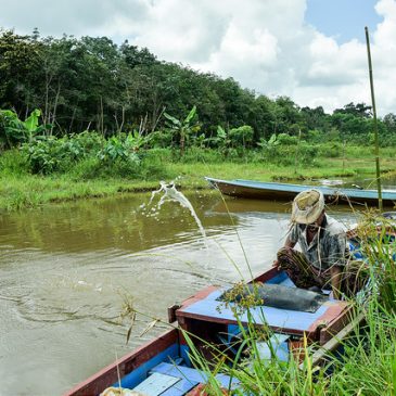 Man in boat fishes in river