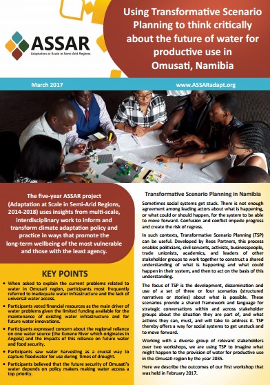 image of Namibian TSP brief