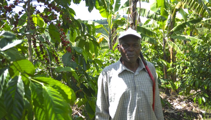 Uganda coffee farmer