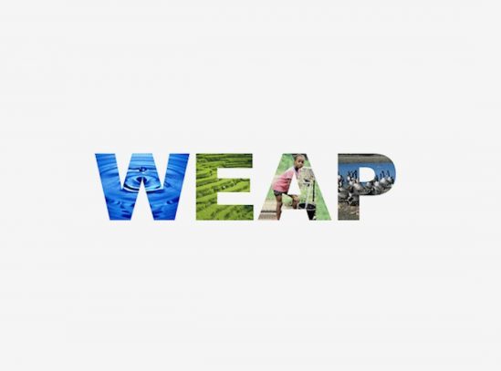 WEAP Logo