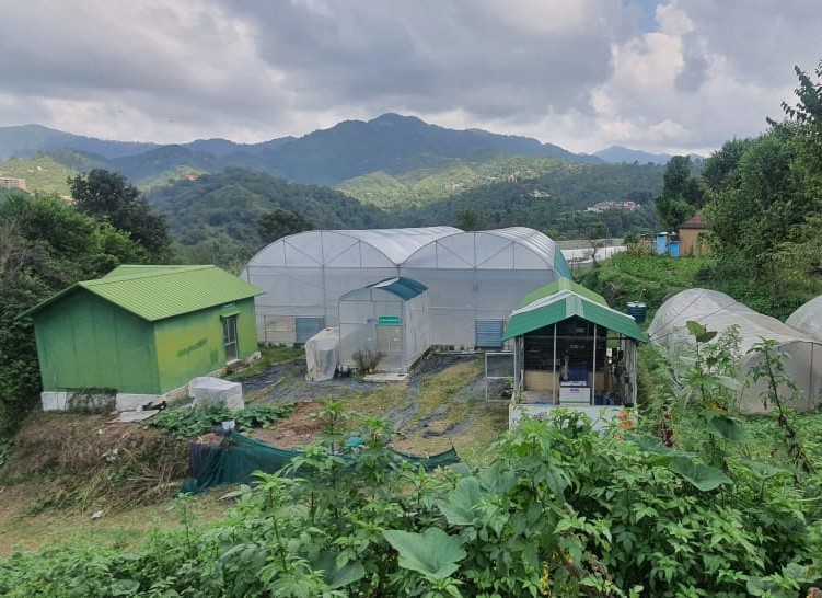 Image of Hi-Tech Green Houses in Eco-village District Shimla