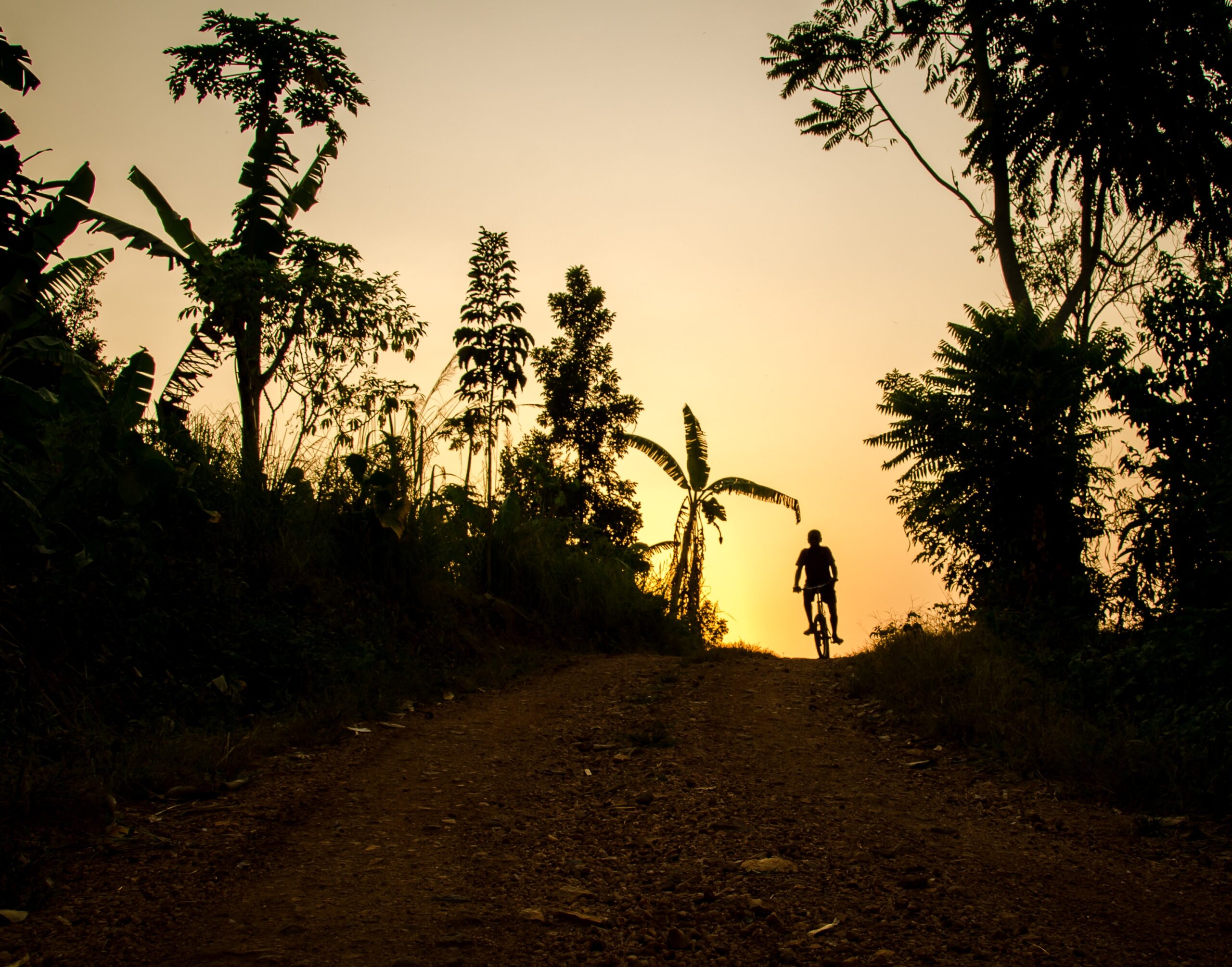 A person cycling on a dirt road at sunset (Credit: Jeff Ackley, Unsplash)