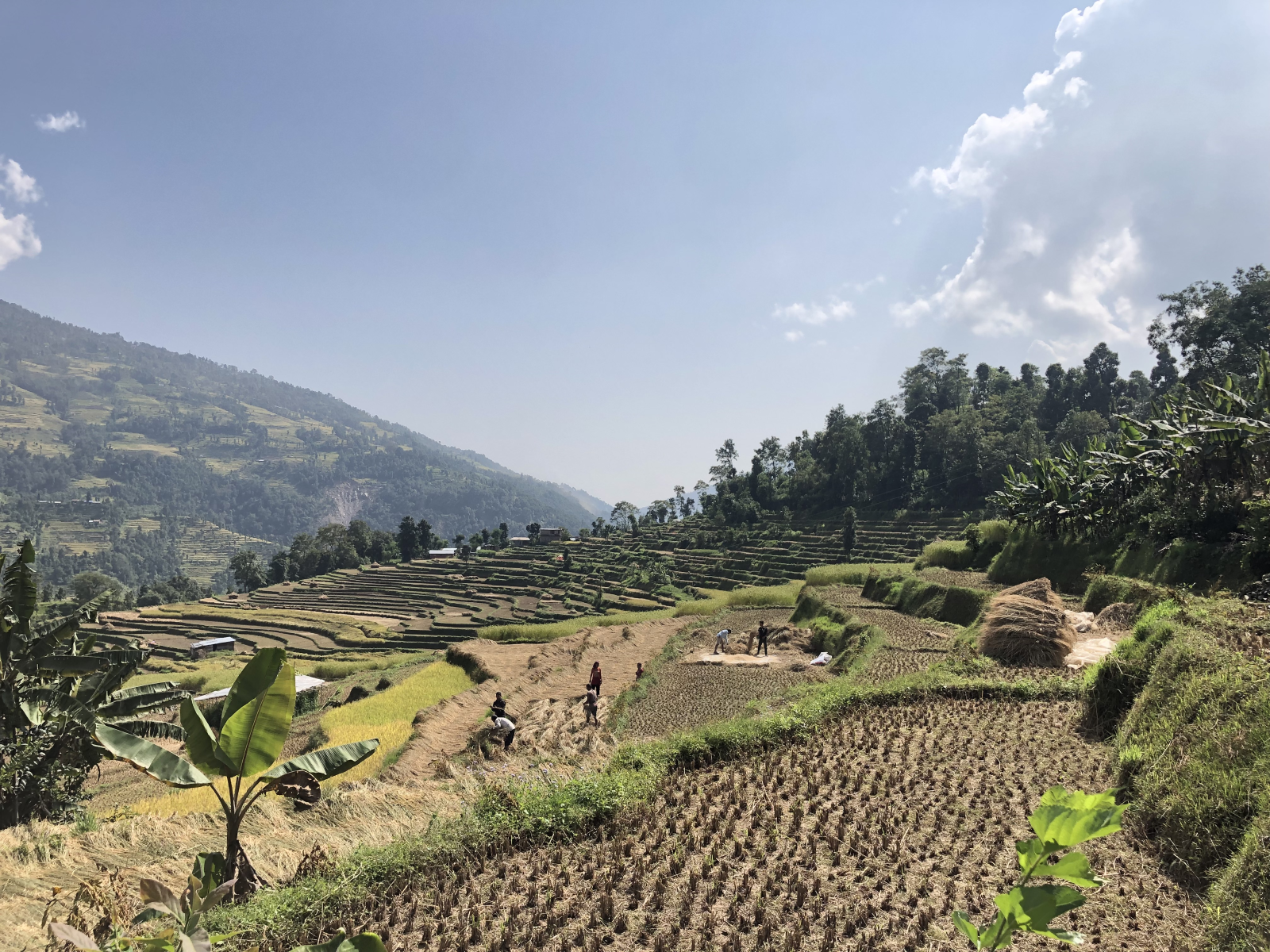 Previously fallow land has been converted into productive farmland in Sindupalchok, Nepal