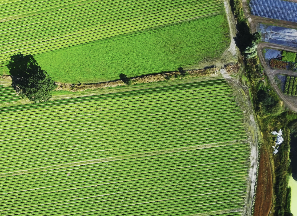 Aerial photo of green agriculture fields in Norway