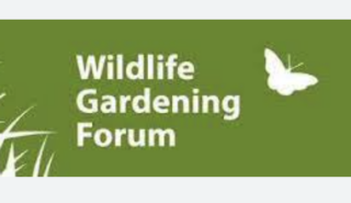 Wildlife gardening forum in white on a green background with white butterfly and grass
