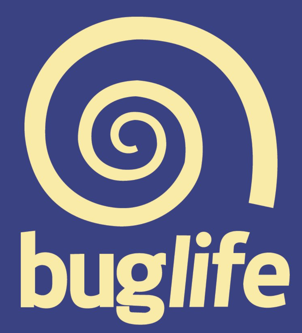 buglife in yellow with a yellow swirl above on an indigo background