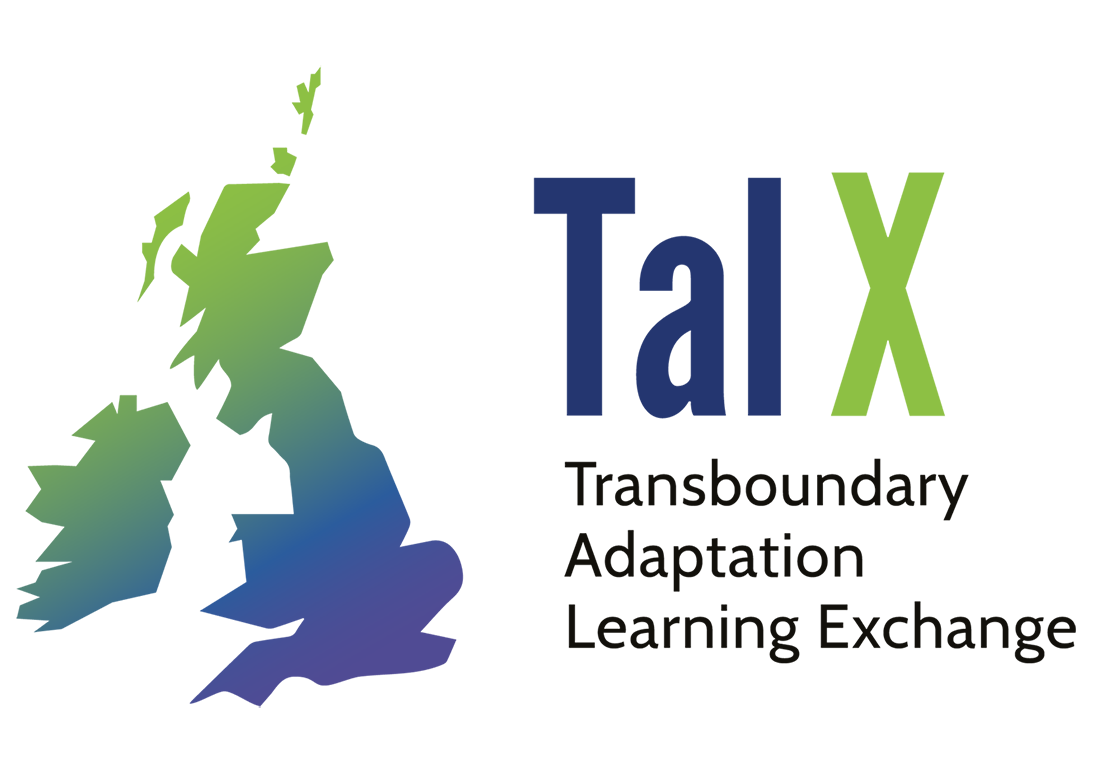 TalX Logo