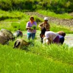 Climate change, agriculture and internal human mobility in the Bhutan Himalayas