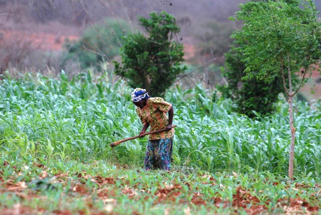 A woman in Kenya tends to her farm. Credit: SEI